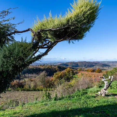 La Combe Verte *